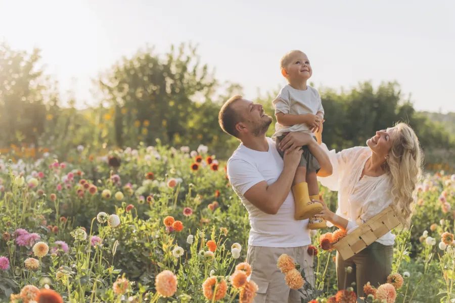 Familie in einer Blumenwiese