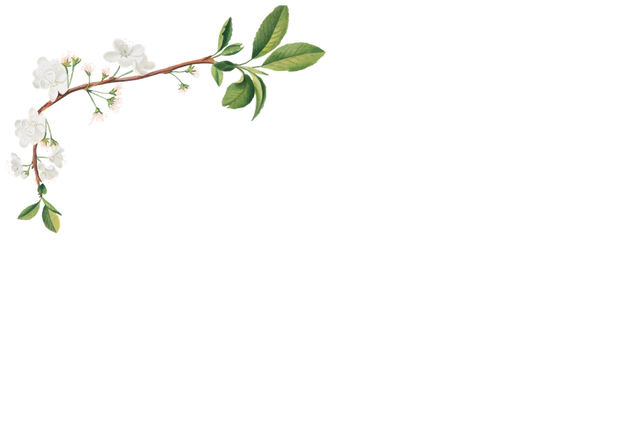 WENDELGÄRTEN Sauerlach